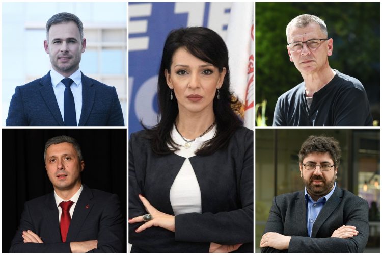 Marinika Tepić, Miroslav Aleksić, Boško Obradović, Aleksandar Jovanović Ćuta, Radomir Lazović