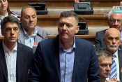Zelenović o aferi Jovanjica u parlamentu