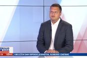 Raša Nedeljkov, Crta, gost, emisija Pregled dana Newsmax Adria