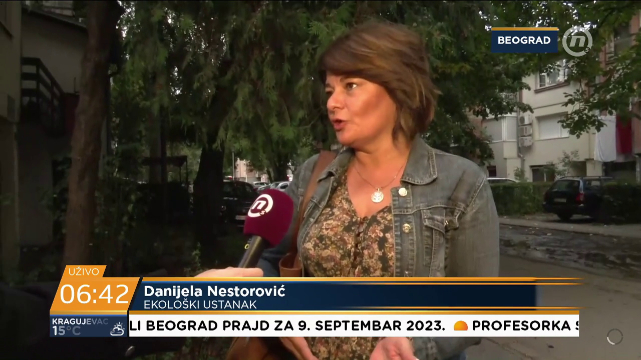 Danijela Nestorović