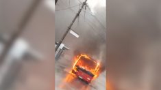 Autobus 405 u Ripnju se zapalio