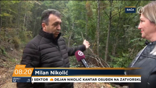 Milan Nikolić