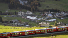 Švajcarska, voz, Švajcarski voz