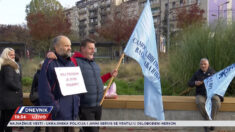 TETKICE I DOMARI. Tetkice i domari pred predsedništvom. Traže otpis sudskih troškova, prilog, emisija Dnevnik