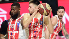 KK Crvena zvezda