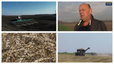 Poljoprivrednici se žale ne cenu pšenice