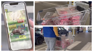 "Lidl" marketi ograničili kupovinu prasetine koja je na akciji: Kupci u redovima od osam ujutru čekali da kupe ovo meso