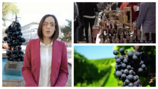 Sajam vina u Župi: Raj za ljubitelje rajskog pića