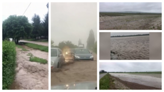 Domaćinstva i usevi poplavljeni na Fruškoj gori