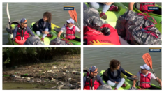 Dan Dunava: Akstivnost u prirodi i briga o životnoj sredini