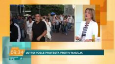 Marina Lipovac Tanasković Željko Mitrović je posavetovan da ne pravi šou od protesta ispred Pinka