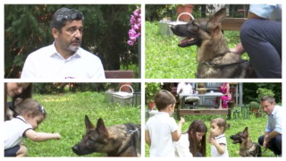 Pas naneo teške povrede četvorogodišnjem detetu - kako se odbraniti od napada pasa