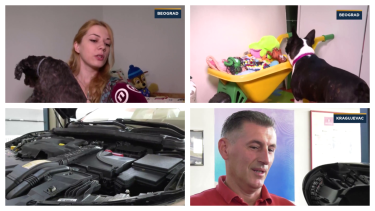 Kome ostaviti kućne ljubimce tokom odmora i kako pripremiti automobil za duži put?