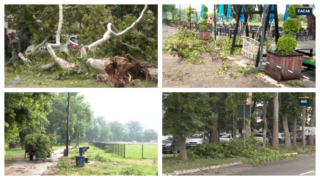 Nakon jakog nevremena oborena stabla i oštećeni automobili u Nišu i Čačku