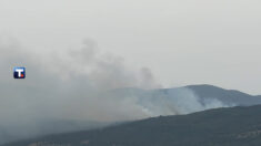 Požar u Pirotu
