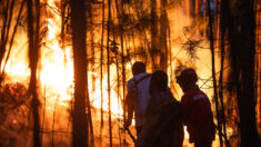 požar u šumi u Ouremu