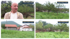Inspekcija uređuje dvorišta po selima: Posekli drveće i ispostavili račum od 3000 evra