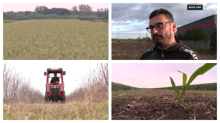 Poljoprivredno zemljište kod Novog Sada najskuplje u Srbiji