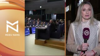Šta rezolucija EP znači za srpsku vlast