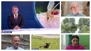Peščane mušice iz tropskih područja, a koje prenose zarazne bolesti, pojavljuju se i u Srbiji