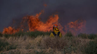 Šumski požar kod Los Anđelesa