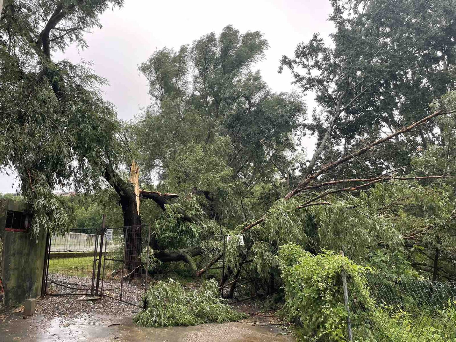 Potop U Mirijevu: Nevreme Napravilo Haos U Beogradu, Ulice Pod Vodom ...