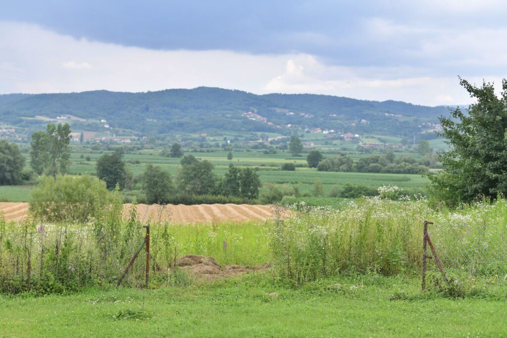 Marš na Drinu, Ne damo Jadar, Rio Tinto, litijum. Kreni Promeni pešačenje do Gornjih Nedeljica