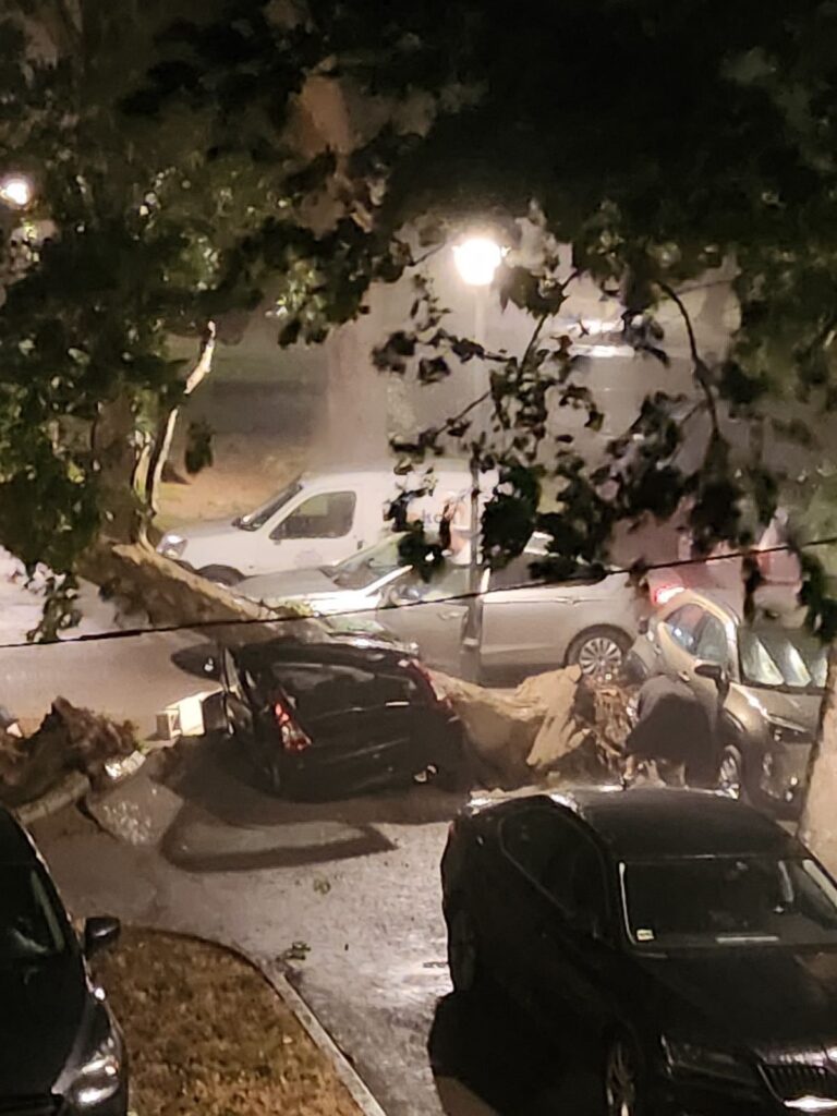 Novi Beograd, Blok 38, drvo palo na automobil, smrskan auto, nevreme, oluja, jak vetar