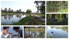 "Na skriveno te vodim mesto": Šlajz kod Vrbasa je omiljeno mesto najmlađih za pecanje