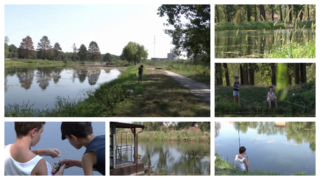 "Na skriveno te vodim mesto": Šlajz kod Vrbasa je omiljeno mesto najmlađih za pecanje