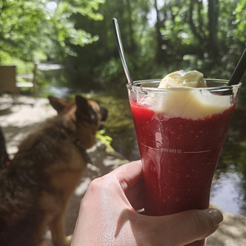 Predah za Jazavitzu - U šumu radi puževa