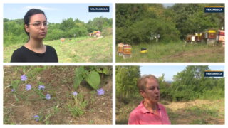 Buldožeri na privatnim imanjima bez prethodne najave: Šta se istražuje u istočnoj Srbiji?