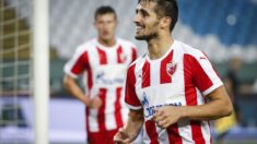 Ugo Vijeira proslavlja gol za Zvezdu