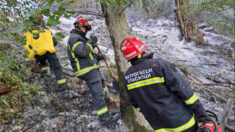 Požar, požar na otvorenom prostoru, šumski požar, gašenje, vatrogasci, gašenje požara