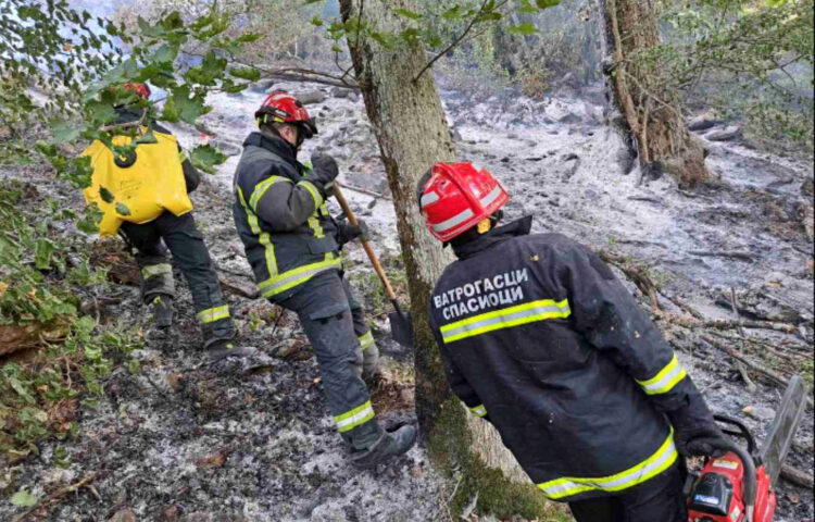 Požar, požar na otvorenom prostoru, šumski požar, gašenje, vatrogasci, gašenje požara