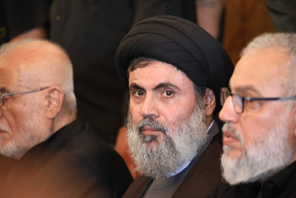 Hashim Safi Al Din, Hezbollah