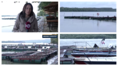 Dok pokušavaju izgradnju pristaništa, postojeći ponton odnese svaki veći vodostaj