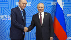 Redžep Tajip Erdogan i Vladimir Putin