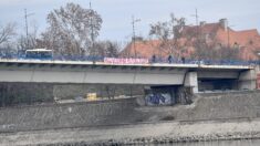 Transparent vojvodina republika