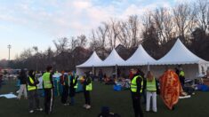 Studenti kod Inđije