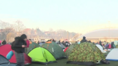 Studenti se bude u Inđiji