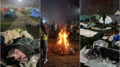 inđija studenti kombo foto_ vlada ješić