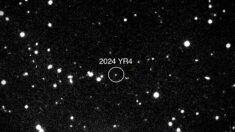 Asteroid 2024 YR4