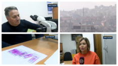 U Novom Pazaru počelo merenje koncentracije polena u vazduhu