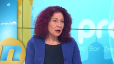 Kako su Rio Tintu izdati uslovi zaštite prirode bez saglasnosti stručnjaka? - Ljiljana Tomović