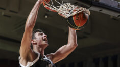 Aleksa Dimitrijević