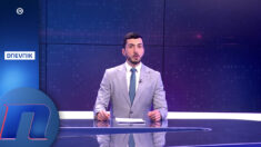 Seratlić: Lako ćemo posle s daljinskim da se majemo po zamajavanjima