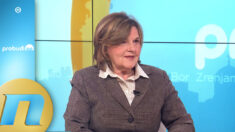 Picula kaže da se ne vidi strateška orijentacija Srbije ka EU - Branka Latinović