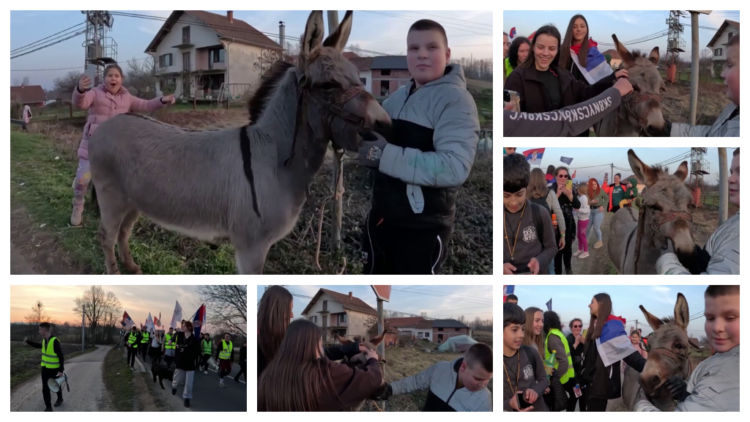Mali Stefan dočekao je studente u Novom selu sa svojim magarcem Oskarom