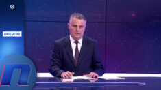 Dimitrijević: I tu neće pomoći nikakve očajničke kvote za slikanje dovedene negde autobusima ili ugurane u kamp ispred Predsedništva